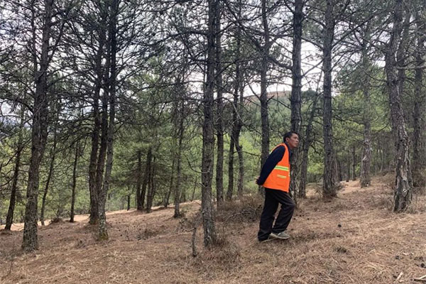 Songling Forestry Bureau Mountaineer
